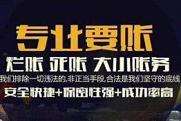 广西讨债最专业的公司是哪家,专业讨债的各种方式